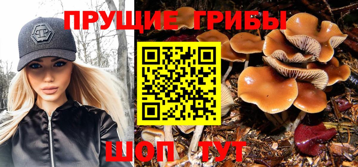 Псилоцибиновые грибы MAGIC MUSHROOMS  Вход с VPN  Реж 